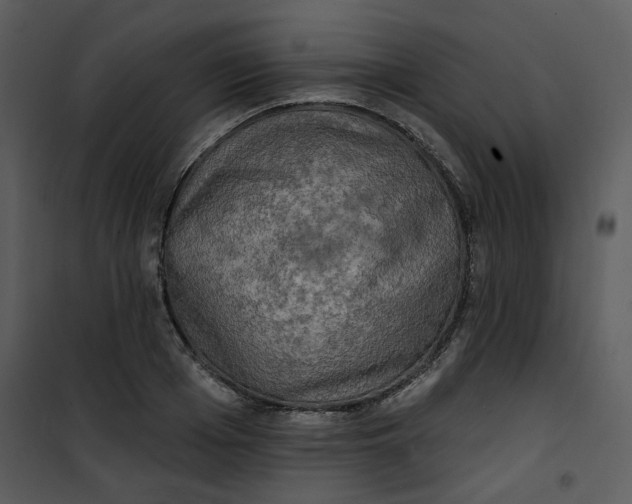 X0000101160985200807181354