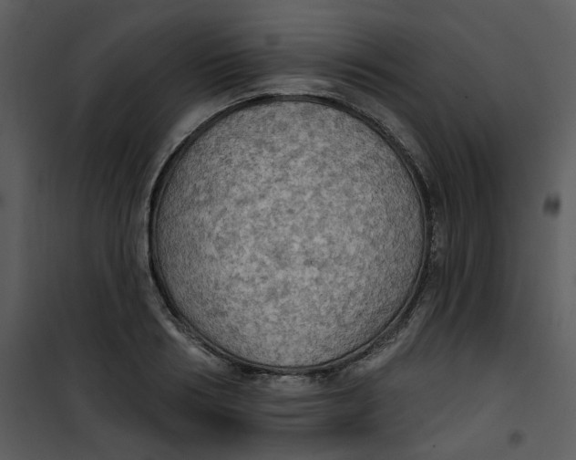 X0000101160986200807181354