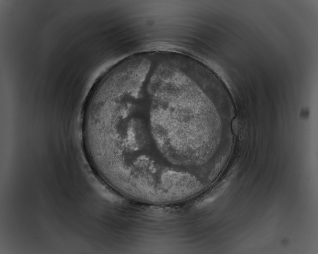 X0000101160987200807181354