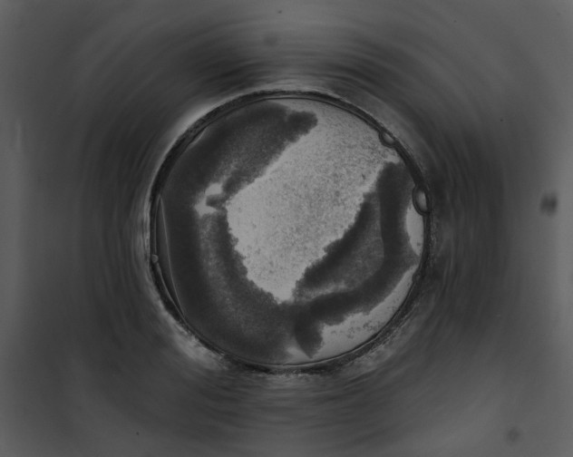 X0000101160988200807181354