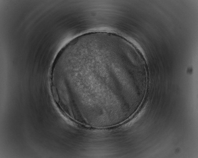 X0000101160989200807181354