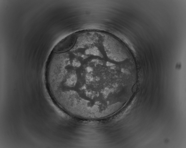 X0000101160991200807181354