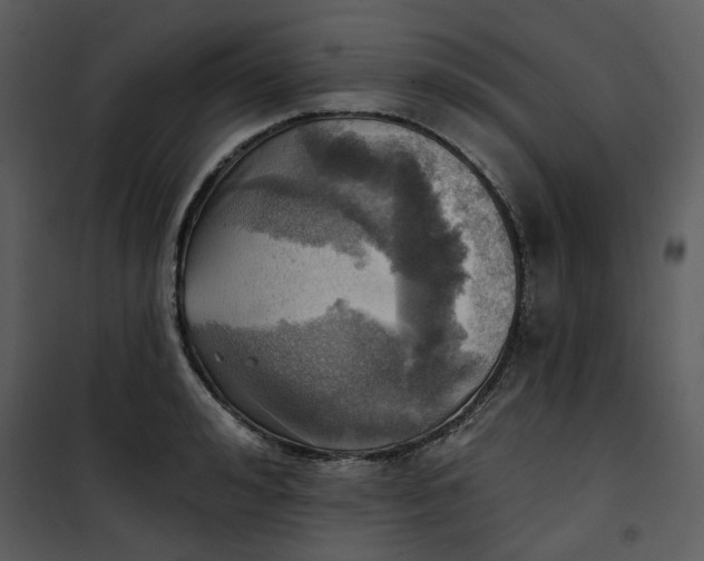 X0000101160992200807181354