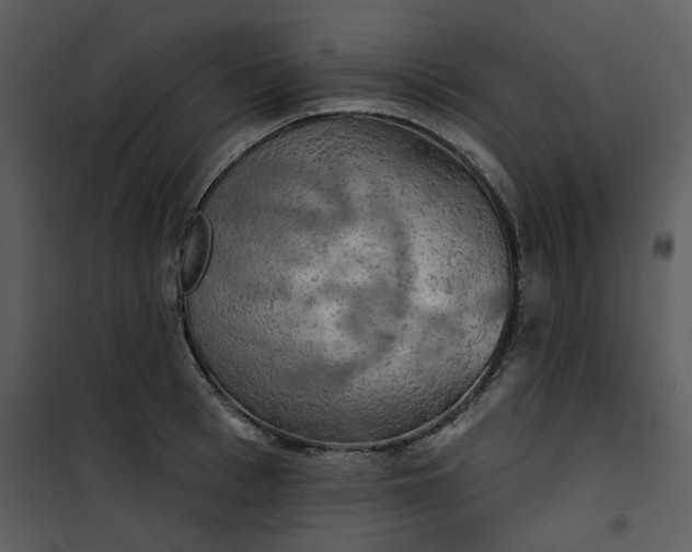 X0000101160993200807181354