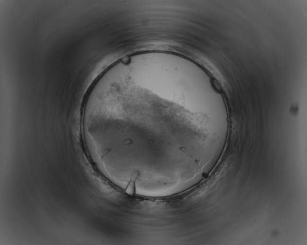 X0000101160994200807181354