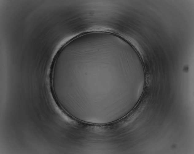 X0000101160995200807181354