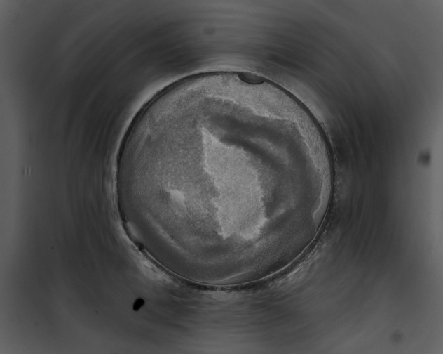 X0000101160996200807181354