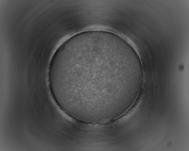 X0000101160997200807181354