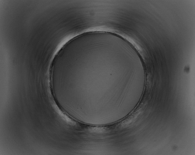 X0000101160998200807181354