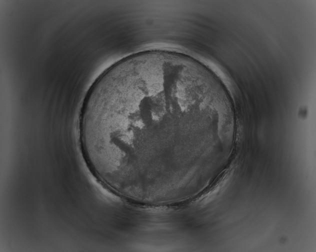 X0000101160999200807181354