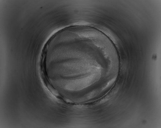 X0000101161000200807181354