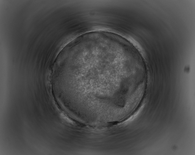 X0000101161001200807181354