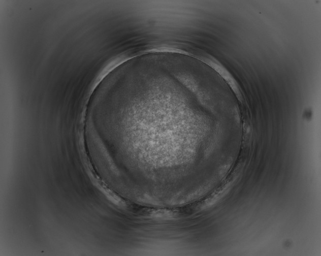 X0000101161002200807181354