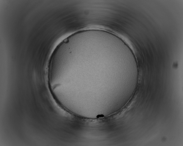 X0000101161003200807181354