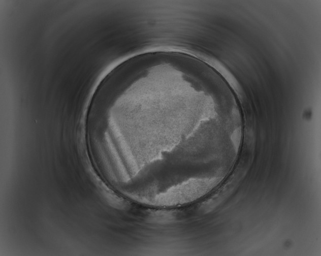 X0000101161004200807181354