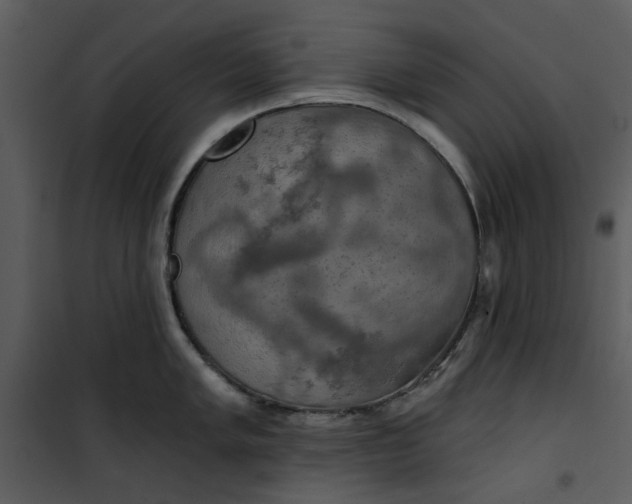 X0000101161005200807181354