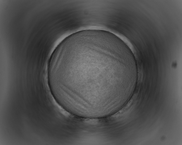 X0000101161006200807181354