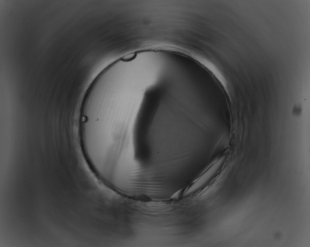 X0000101161007200807181354