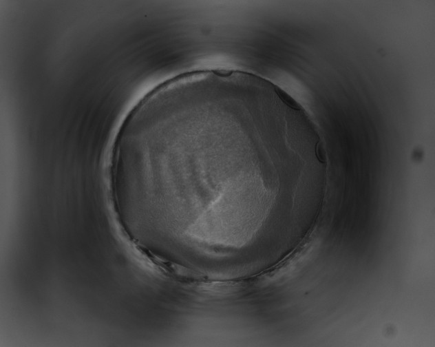 X0000101161008200807181354