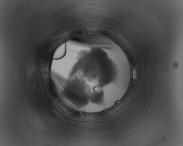 X0000101161011200807181353