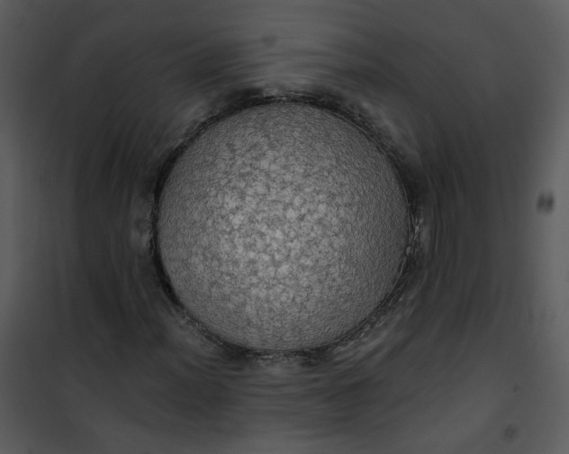 X0000101161012200807181353