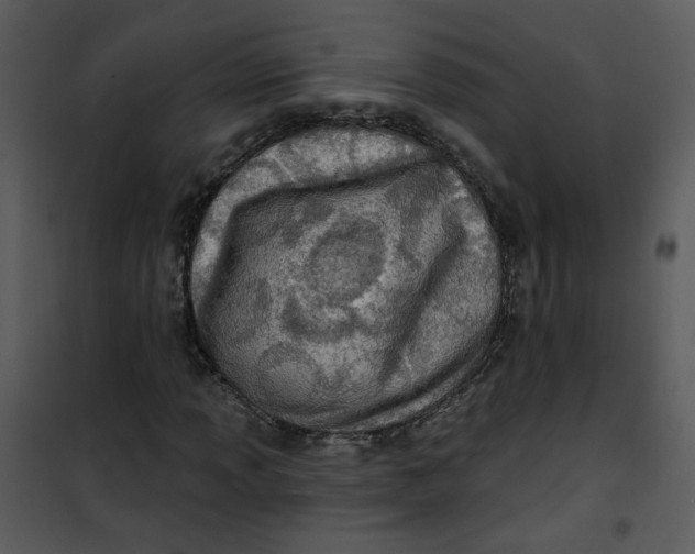 X0000101161013200807181353