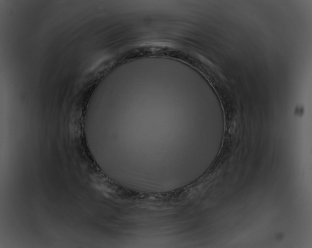 X0000101161014200807181353