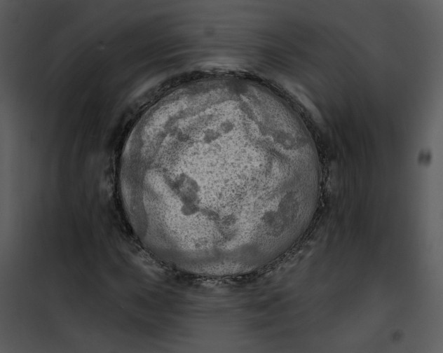 X0000101161015200807181353