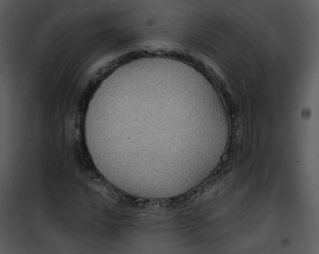 X0000101161016200807181353