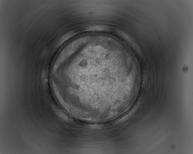 X0000101161017200807181353