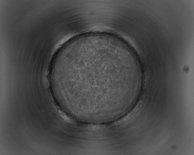 X0000101161018200807181353