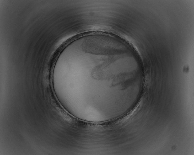 X0000101161019200807181353