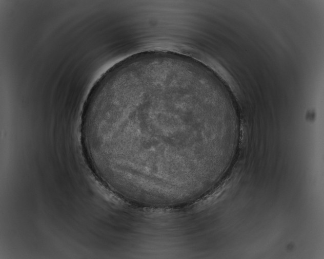 X0000101161020200807181353