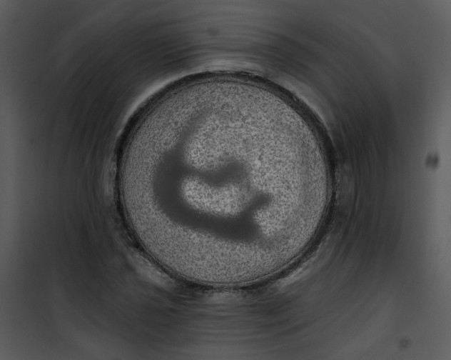 X0000101161021200807181353