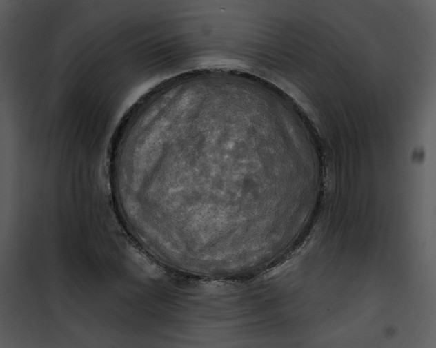 X0000101161022200807181353