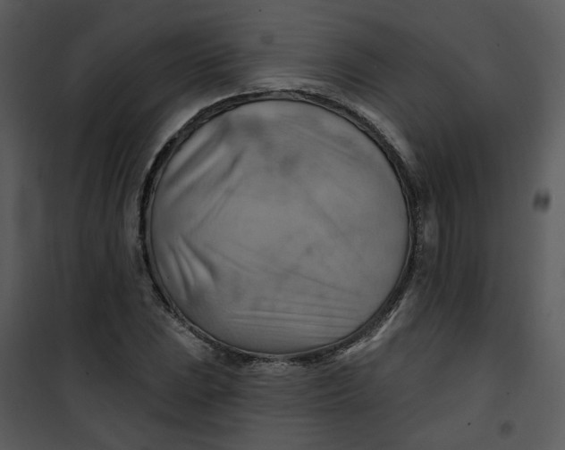 X0000101161023200807181353