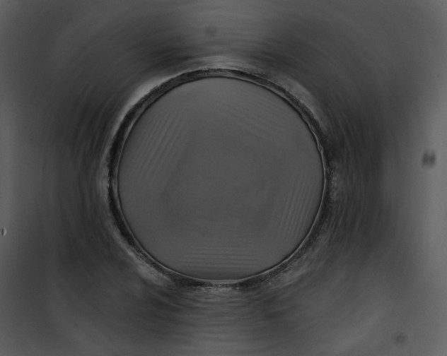 X0000101161024200807181353