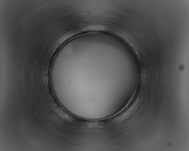 X0000101161025200807181353