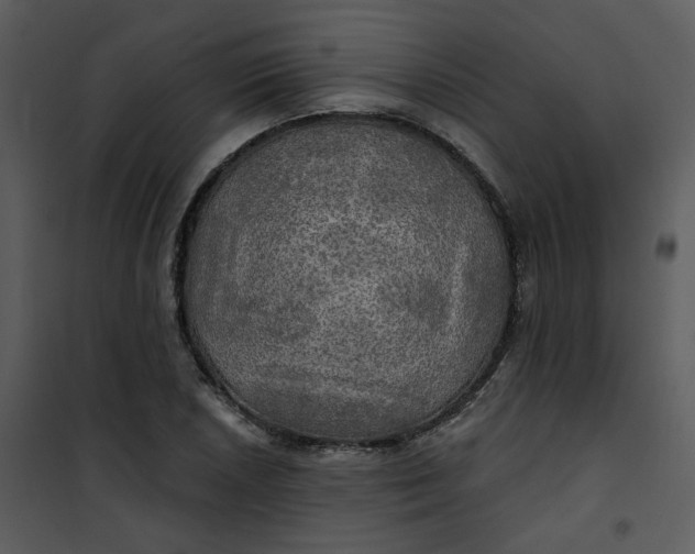 X0000101161026200807181353