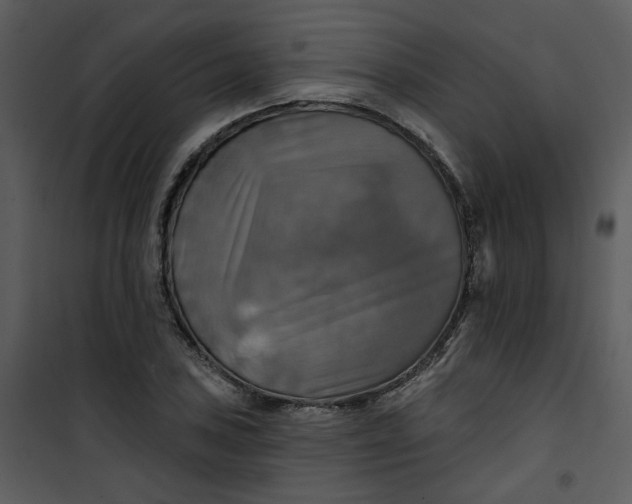 X0000101161027200807181353