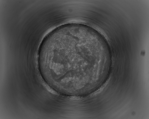 X0000101161029200807181353