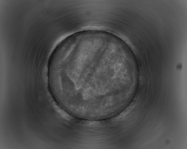 X0000101161030200807181353