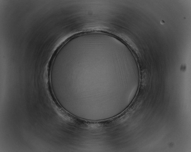 X0000101161031200807181353