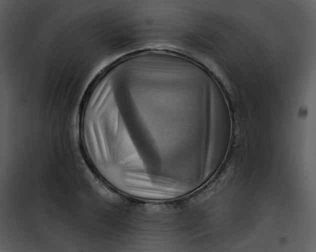 X0000101161032200807181353