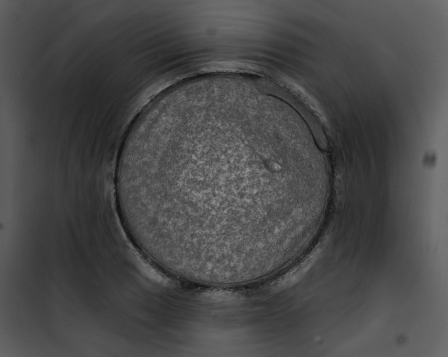 X0000101161033200807181353