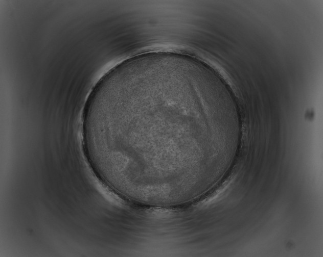 X0000101161034200807181353