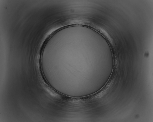 X0000101161035200807181353