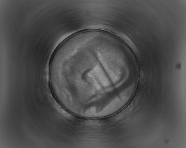 X0000101161036200807181353