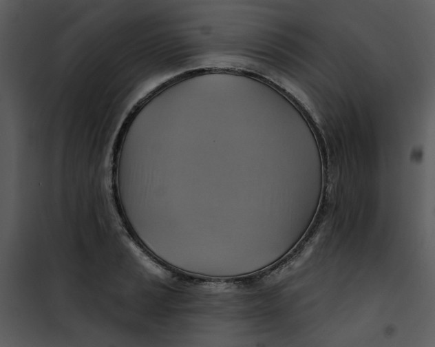 X0000101161037200807181354