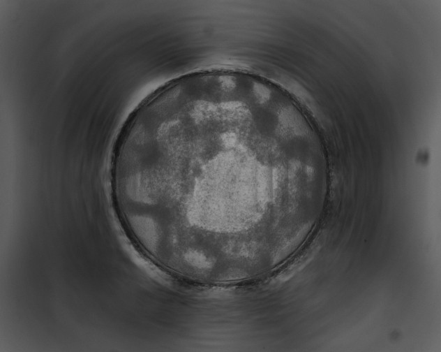 X0000101161038200807181354